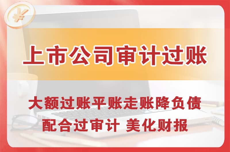 玉林上市公司审计过账